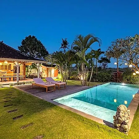 Rice Field View For Total Relaxation Villa Danka