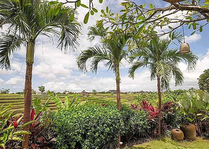Rice Field View For Total Relaxation Danka Residence Kabupaten Badung